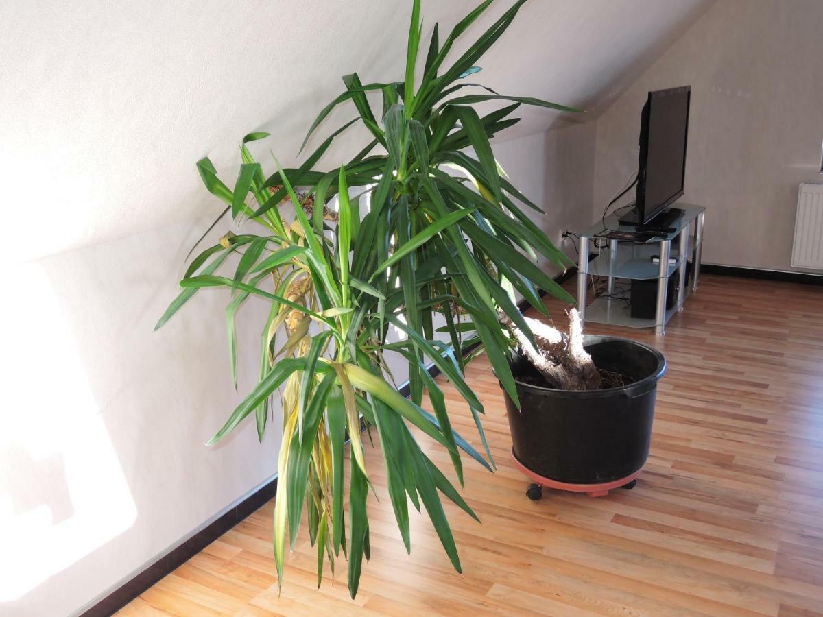 Guesthouse "Southside Of Hamburg" Εξωτερικό φωτογραφία
